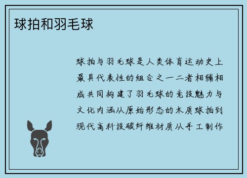 球拍和羽毛球